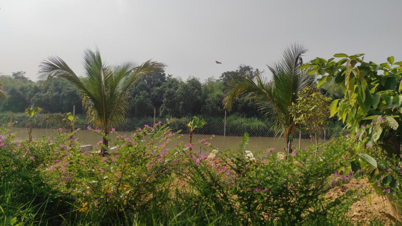 Homestay Dat Viet Cat Tien Exterior photo